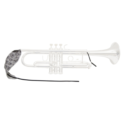 Trumpet Lead Pipe Swab