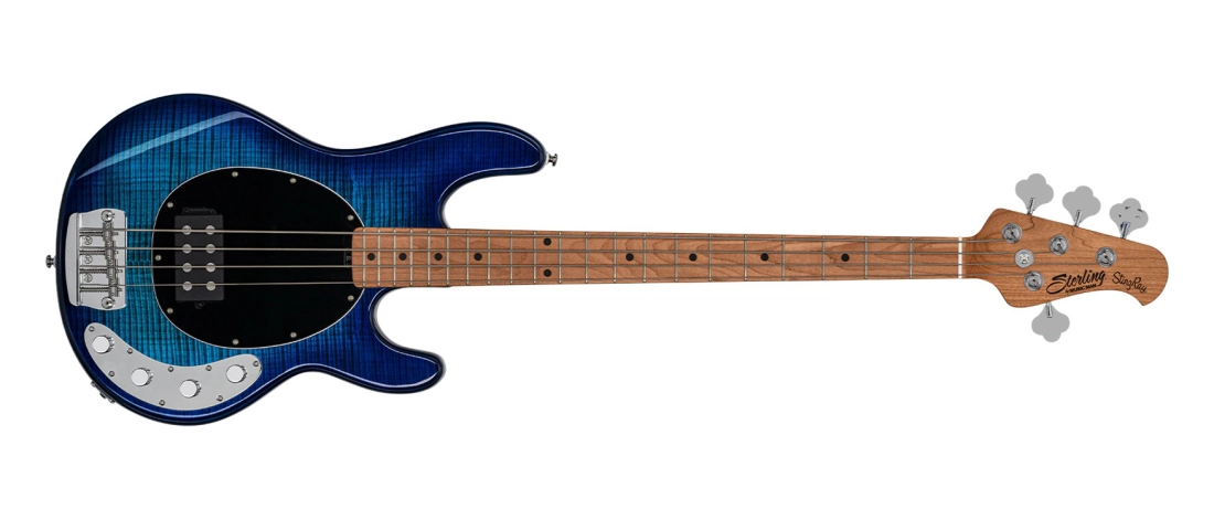 StingRay Ray34 Flamed Maple - Neptune Blue