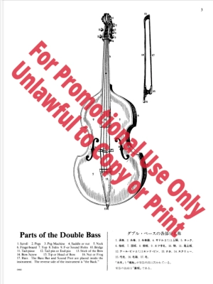 New Method for the Double Bass, Book I - Simandl/Zimmermann/Drew - Double Bass - Book