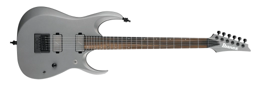 RGD61ALET Axion Label Electric Guitar - Metallic Grey Matte