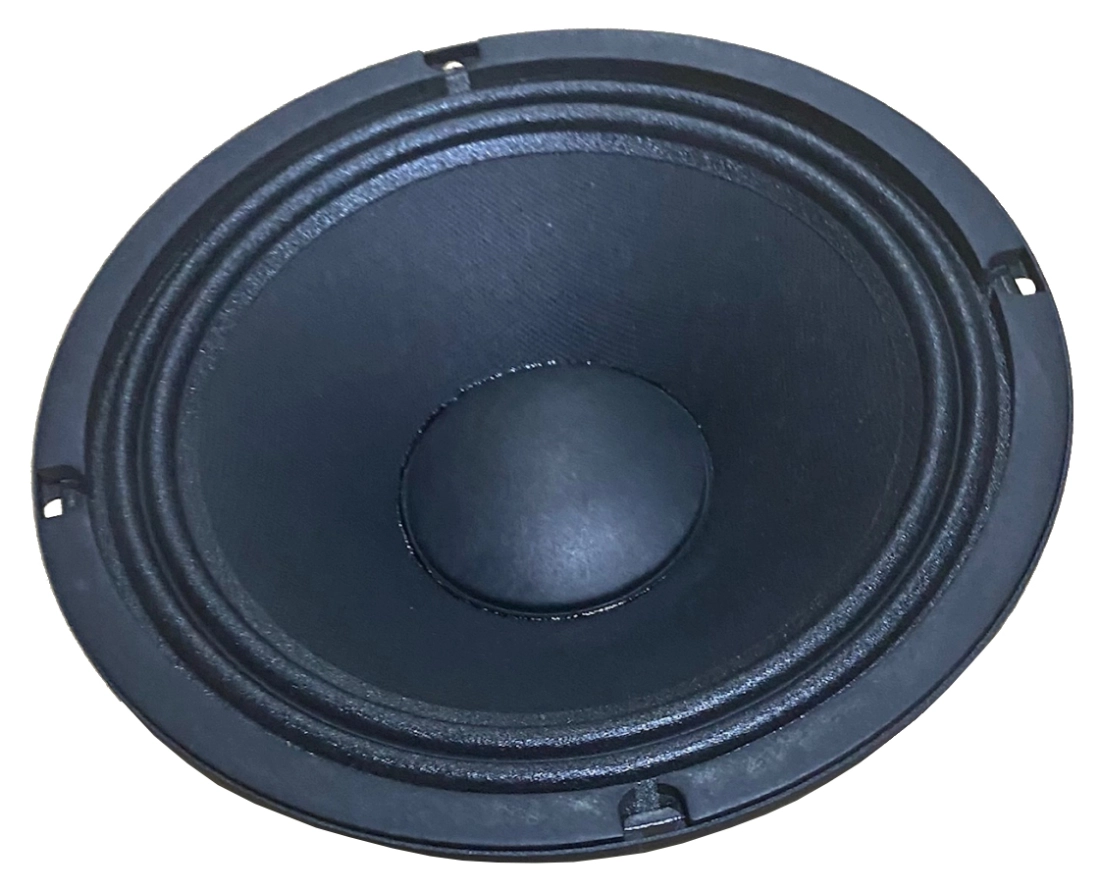 4 Ohm 75 Watt Raw Speaker - 8\'\'