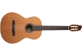 Godin Guitars - Collection EQ Cedar/Rosewood Nylon String Acoustic/Electric Guitar
