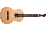 Godin Guitars - Presentation EQ Cedar\/Rosewood Nylon String Acoustic\/Electric Guitar