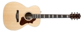 Godin Guitars - Fairmount CH LTD Rosewood HG EQ Acoustic\/Electric Guitar