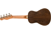 Zuma Exotic Concert Ukulele, Walnut Fingerboard - Bocote