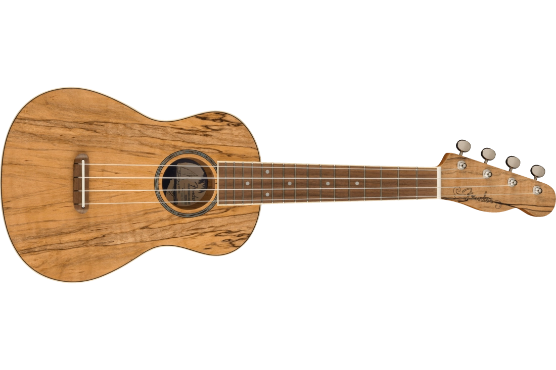 Zuma Exotic Concert Ukulele, Walnut Fingerboard - Spalted Maple