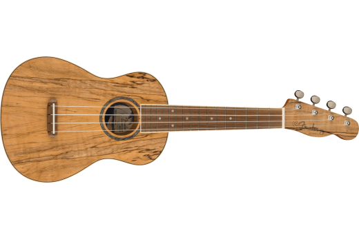 Fender - Zuma Exotic Concert Ukulele, Walnut Fingerboard - Spalted Maple
