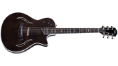 Taylor Guitars - T5z Pro Hollowbody Hybrid Guitar with AeroCase - Gaslamp Black