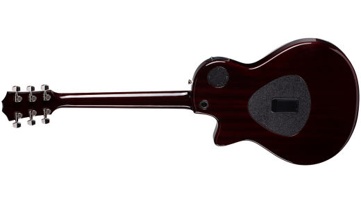 T5z Standard Hollowbody Hybrid Guitar with AeroCase - Honey Sunburst
