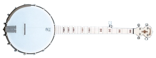 Deering Banjo Company - Goodtime Limited Edition Bronze Banjo