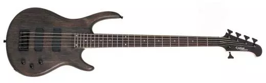 Epiphone - Embassy Standard 5 String Bass - Trans Black