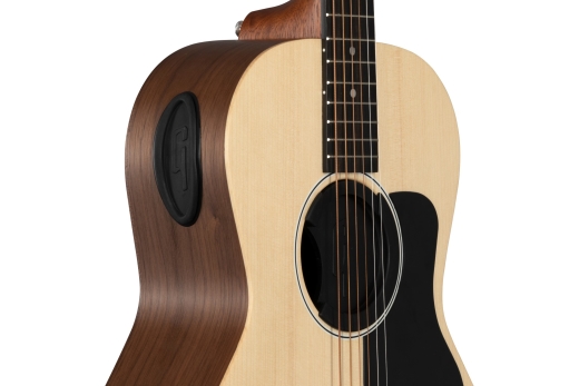 Generation Acoustic Player Port Cover