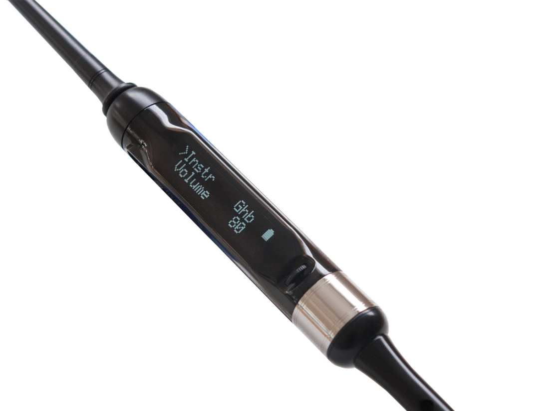 Blair Digital Chanter - Plain Mounts