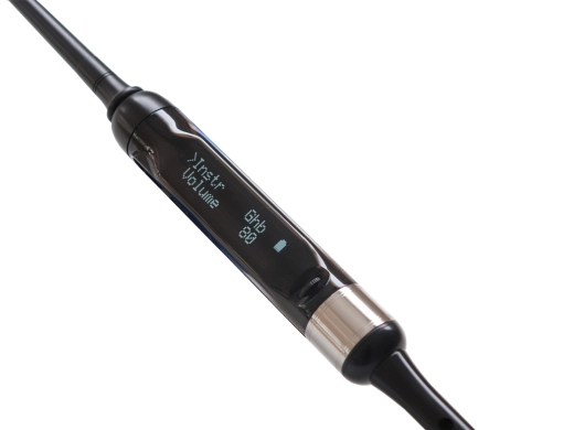 Blair Digital Chanter - Plain Mounts