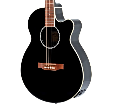 PR-4E Electric/Acoustic Player Pack - Ebony