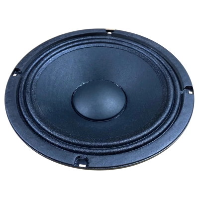 10 Inch 50 Watt Eminence Woofer