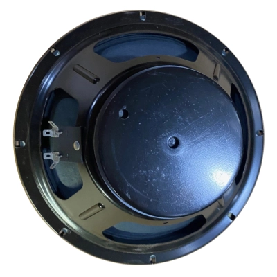 10 Inch 50 Watt Eminence Woofer