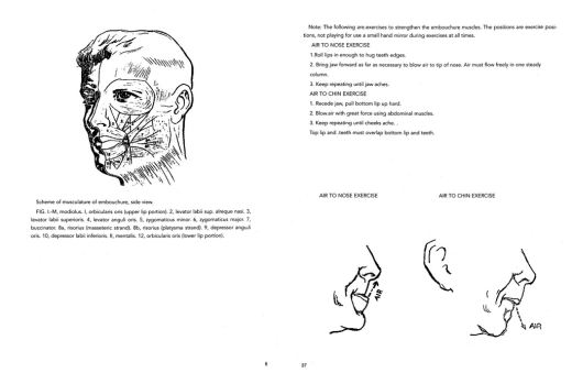 Embouchure Trouble & Self Analysis (Stevens-Costello Technique) - Stevens - Trumpet - Book