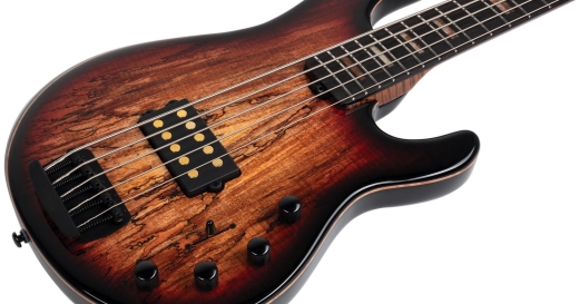 35th Anniversary StingRay5 H Bass Guitar, Roasted Flame Maple/Ebony - Spalted Sunburst