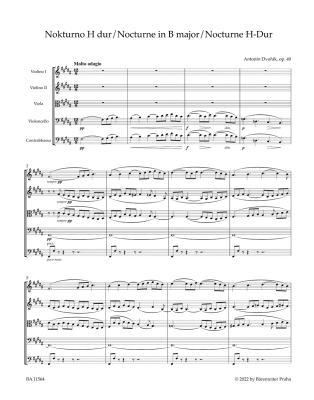 Nocturne in B major, op. 40 - Dvorak/Hajek - String Orchestra