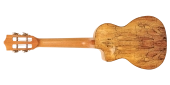 Spalted Maple Concert Cutaway Ukulele with Solid Cedar Top