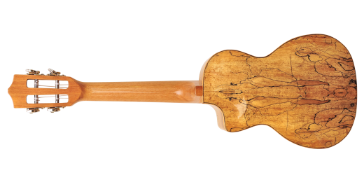 Spalted Maple Concert Cutaway Ukulele with Solid Cedar Top