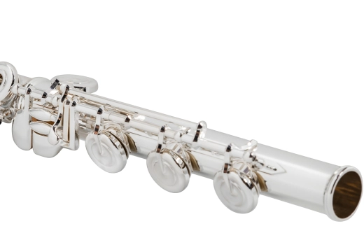 AZ2SRBO-K Open Hole B Foot Limited Edition Flute