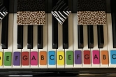 Piano Decorating Kit - Hague/Fisher - Piano