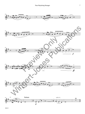 Solo Performance Collection for Violin - Clark/Arcari - Violin - Book/Media Online