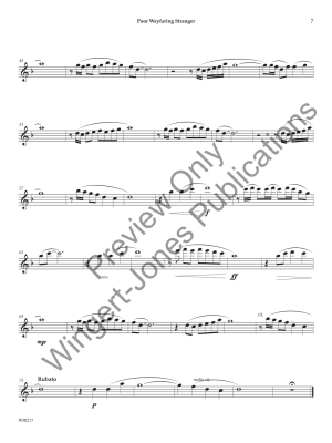Solo Performance Collection for Flute - Clark/Arcari - Flute - Book/Media Online