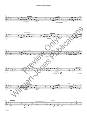 Solo Performance Collection for Tenor Saxophone - Clark/Arcari - Tenor Saxophone - Book/Media Online