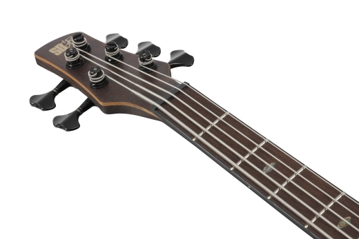 SR Premium 5-String Electric Bass w/Bag - Dual Mocha Burst Flat