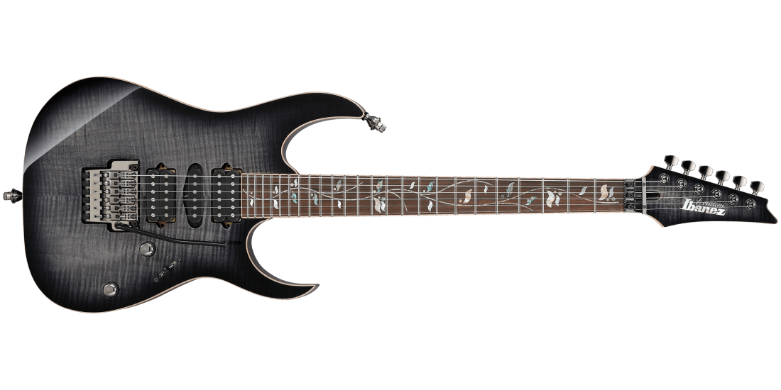 RG J Custom Electric Guitar with Case - Black Rutile