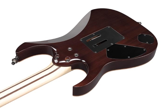 RG J Custom Electric Guitar with Case - Black Rutile