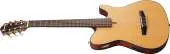 FRH10N Nylon String Acoustic/Electric Guitar - Natural Flat