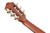 FRH10N Nylon String Acoustic/Electric Guitar - Natural Flat