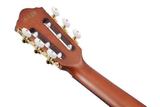 FRH10N Nylon String Acoustic/Electric Guitar - Natural Flat