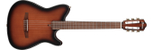 Ibanez - FRH10N Nylon String Acoustic/Electric Guitar - Brown Sunburst Flat