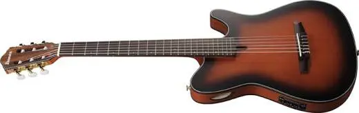 FRH10N Nylon String Acoustic/Electric Guitar - Brown Sunburst Flat