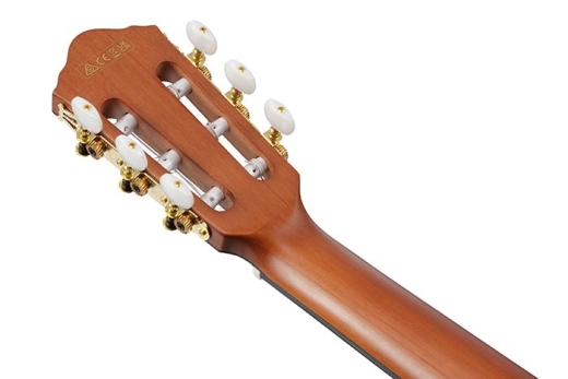 FRH10N Nylon String Acoustic/Electric Guitar - Brown Sunburst Flat