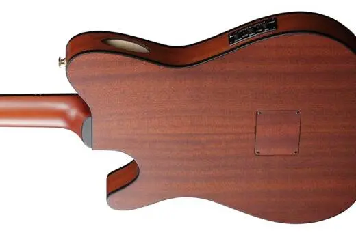 FRH10N Nylon String Acoustic/Electric Guitar - Brown Sunburst Flat