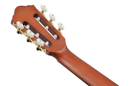 FRH10N Nylon String Acoustic/Electric Guitar - Brown Sunburst Flat