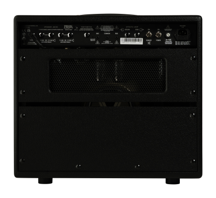 Sonzera 20 Watt 1x12 Combo Amplifier