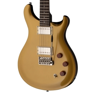 SE DGT Electric Guitar with Gig Bag, Moons Inlay - Gold Top