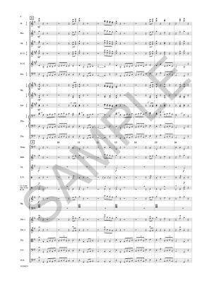 Beating the Rapids (From Buffalo River Suite) - Woodruff - Full Orchestra - Gr. 4