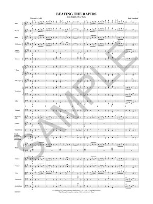 Beating the Rapids (From Buffalo River Suite) - Woodruff - Full Orchestra - Gr. 4