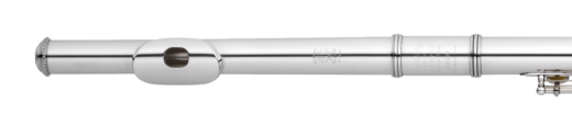 Haynes Flutes - Custom Fusion Inside Headjoint .016, 14K Riser/Lip - P Cut