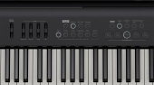 FP-E50 88-Key Digital Piano - Black