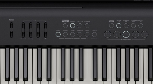 FP-E50 88-Key Digital Piano - Black