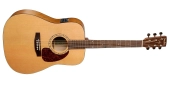 Simon and Patrick - Woodland Cedar Acoustic\/Electric Guitar w\/Presys II